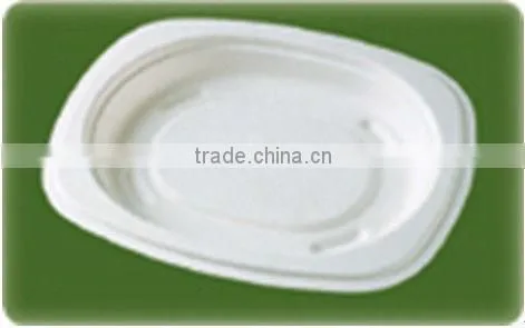 400ml Sugarcane Bagasse Pulp Plate
