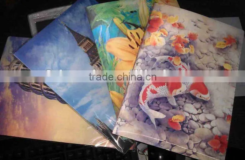 Lenticular 3D PP plastic file folder, PP Lenticular A4 file folder,for gifts and promotion