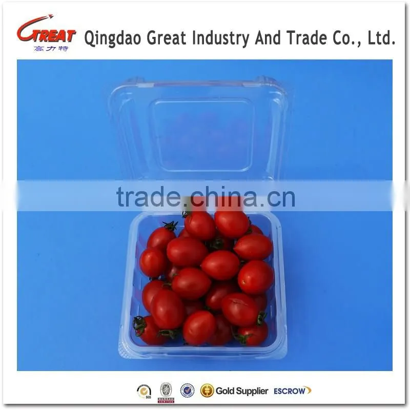 Regular Plastic Small Square Fruit Bluebrries Container