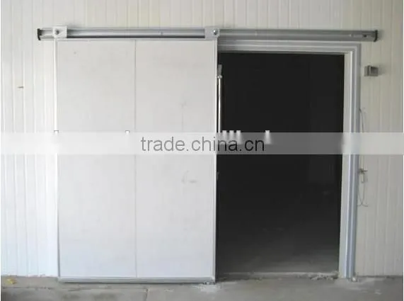 Blast Freezer for Quick frozen fish and chicken
