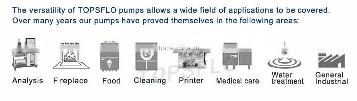 Diaphragm 12v 24v Liquid pump
