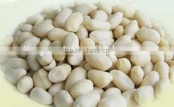 Supply Chinese Blanched Peanut Kernels Round for Sales