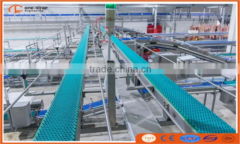 500 cattle slaughter line equipment with good layout design