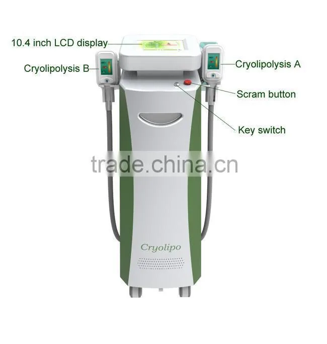 Professional Cryolipolysis Slimming Machine Nubway 2014 Top 1 Beauty Equipment