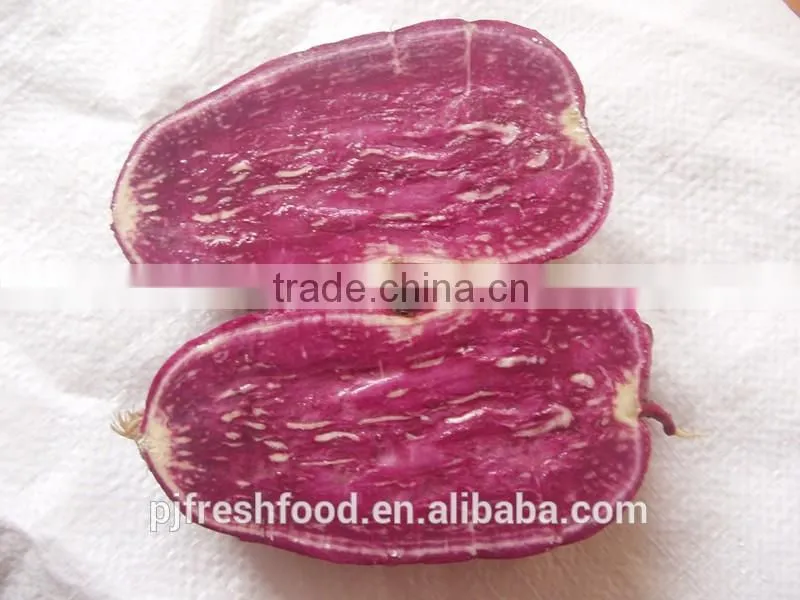Fresh Sweet purple Potato/red skin potato