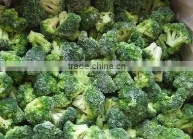 IQF Broccoli