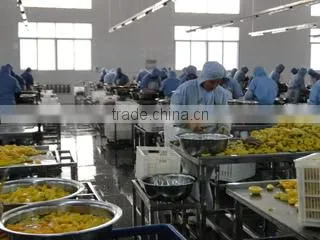 Qingdao Jutai International Trade Co., Ltd. company overview - view 1