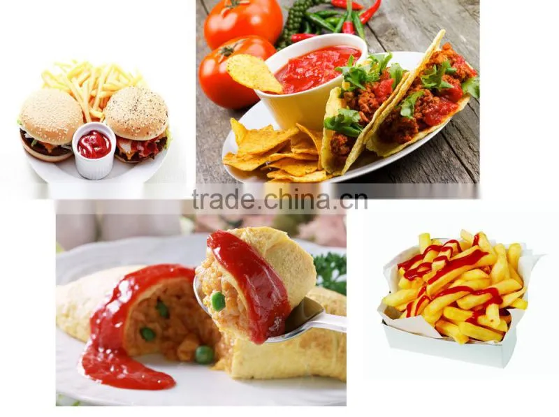 70g Sachet Tomato Paste from China Company