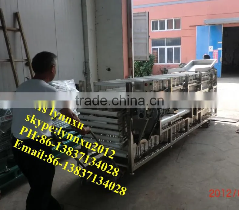 apple size grading machine / fruit polishing sorting machine