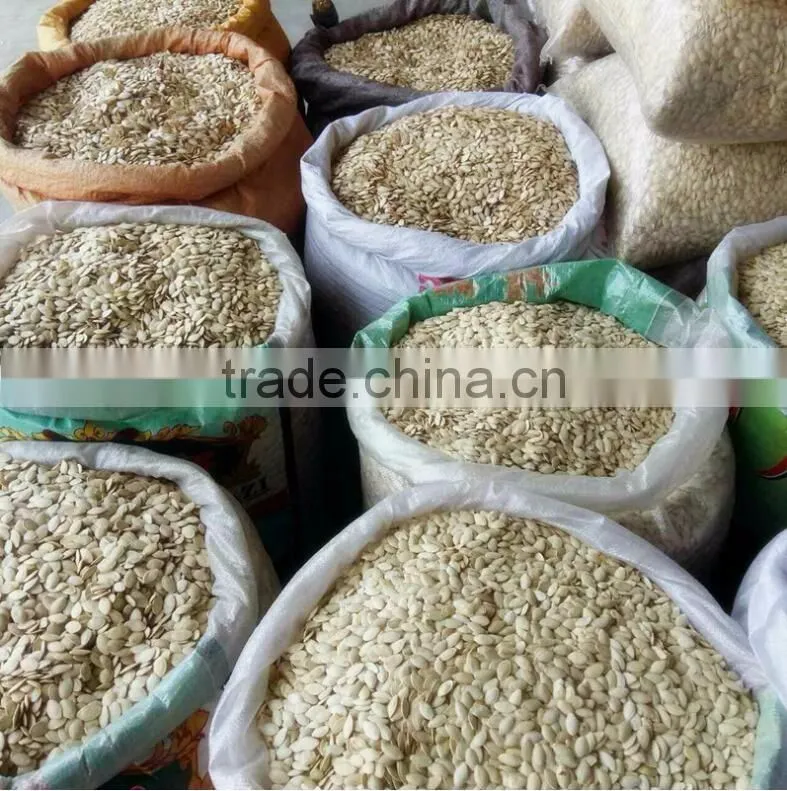 new crop chinese white pumpkin seeds shine skine for sell