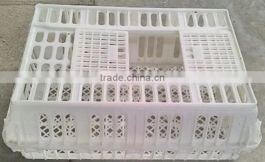 plastic turnover box for chickens