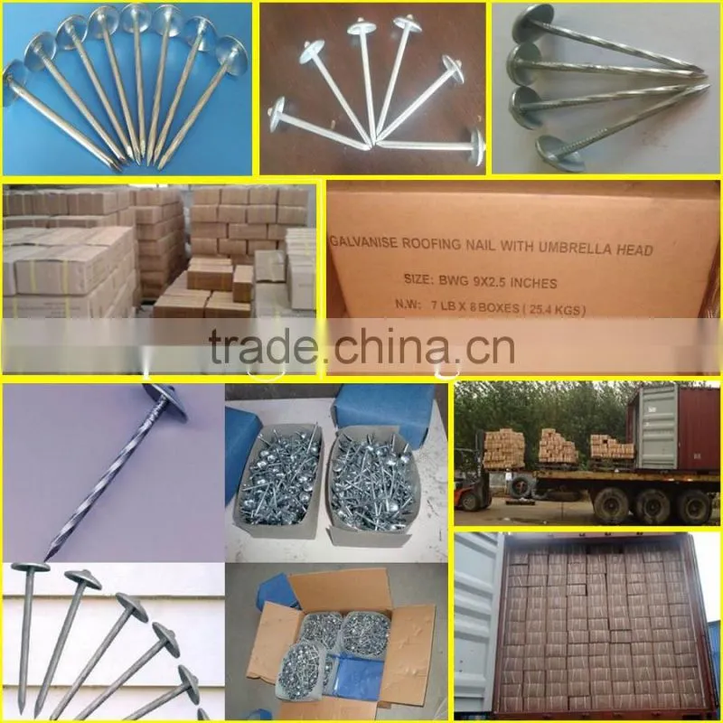 wire coil nails
