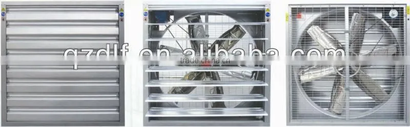 DLF poultry swung drop hammer fan