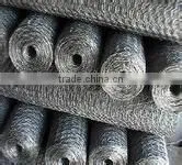 Hot sale chicken wire net 3/4 inches
