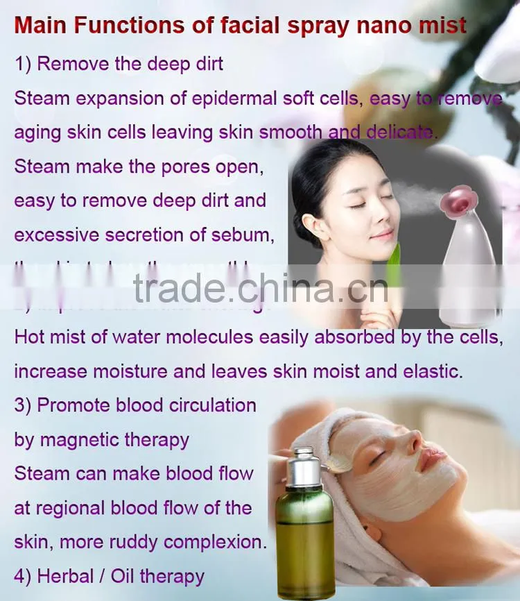 2017 beauty cheap salon Facial Steamer with ozone Moisturizer machine