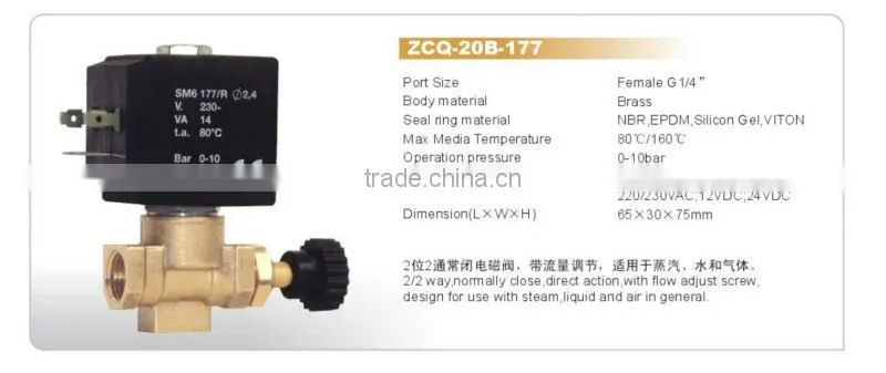 BONA Brass Solenoid Valve for Steam Irons ZCQ-177 1/4" with flow control