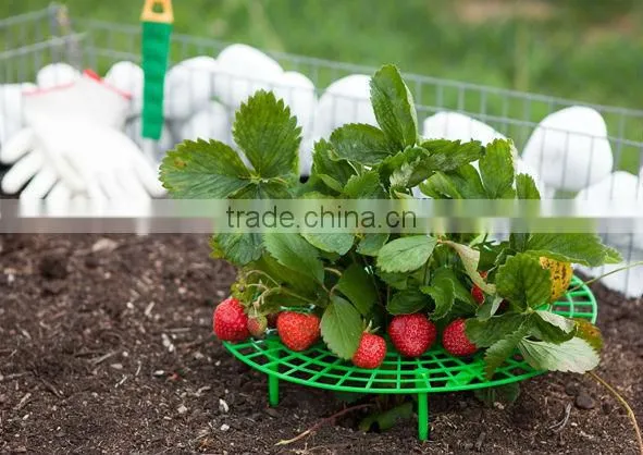 strawberry support ,plant support