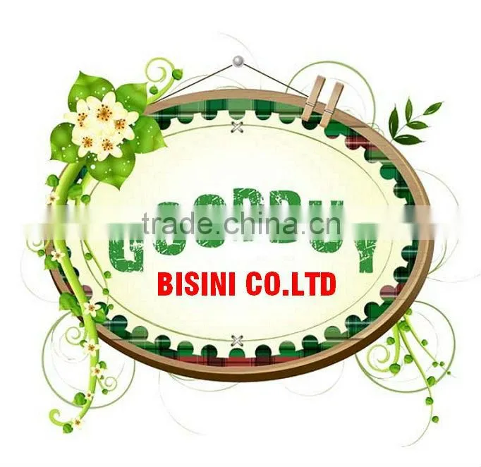 Bisini furniture/wicker/patio furniture/Furniture sofa (BF10-R156)
