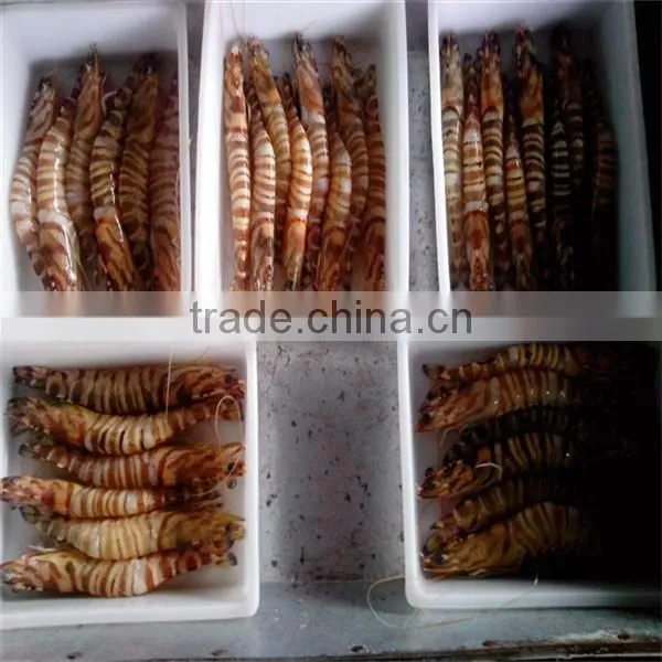 New fired frozen breaded raw fresh water shrimp in good quality