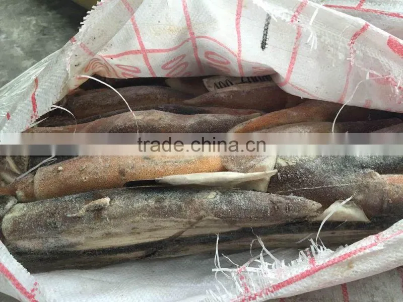 Agrentinus Squid Frozen 400g/600g whole round