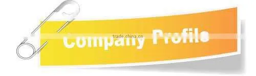 120ml Square Glass Bottle for Fragrance Aroma Reed Diffuser