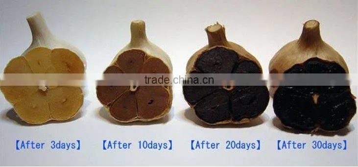 Black Garlic capsule