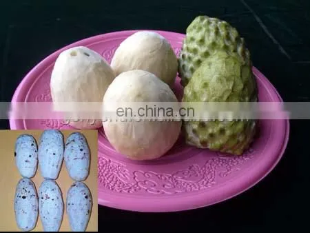 shanghai pineapple peeling machine