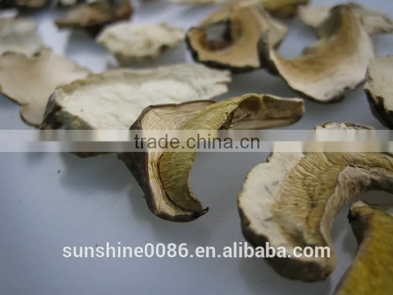 Wild dried white porcini mushroom