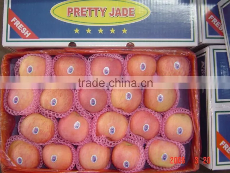 best price of fuji apple
