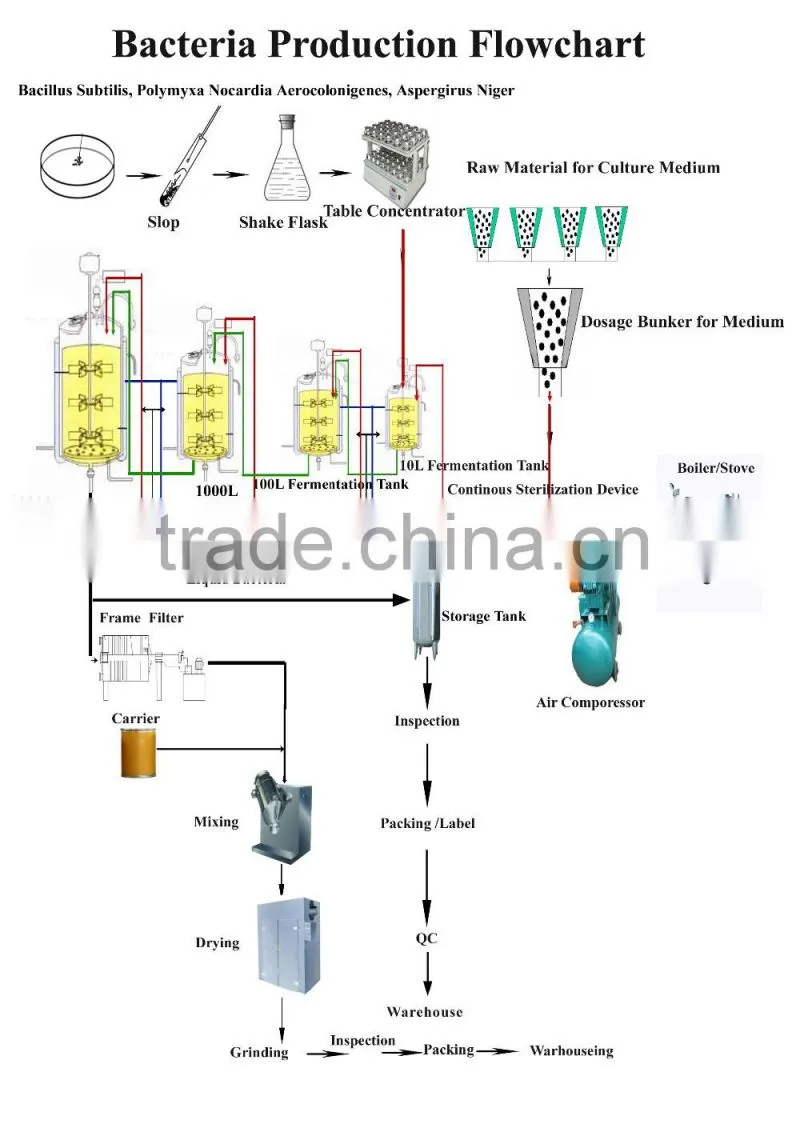 Compound bacteria for pond water treatment