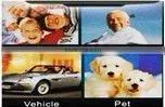 cheap gps car tracker