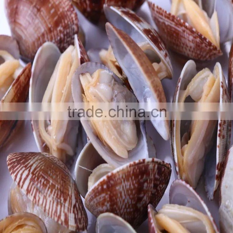 FROZEN DELICIOUS READY TO EAT CLAM