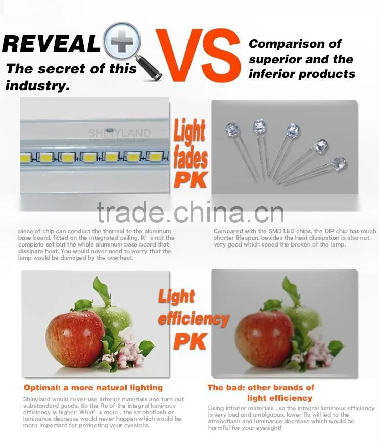Netherland wanted high quality 300 1200mm led panel lights with high quality