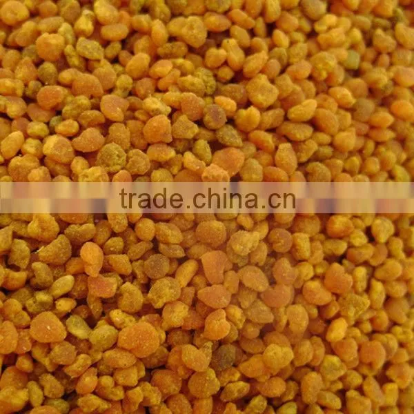 buy bee pollen from Sinova