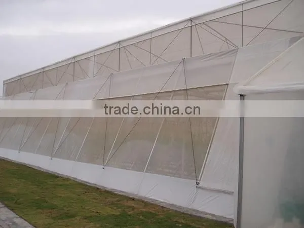 HDPE transparent agricultural anti insect net/insect repellent net
