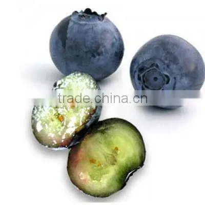 Bilberry SuperFruit Powder