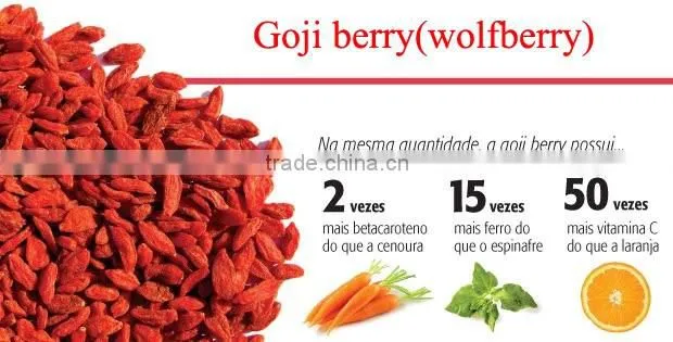 Berry goji bulk goji berries wholesale goji berry