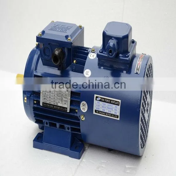 Electric Induction motor with electromagnet brake