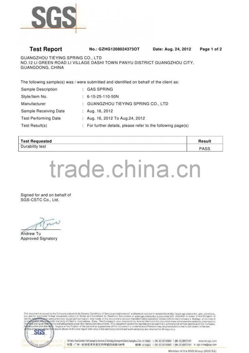 stainless steel gas springs/gas struts/lifts