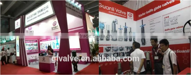 WC6 bevel gear gate valve