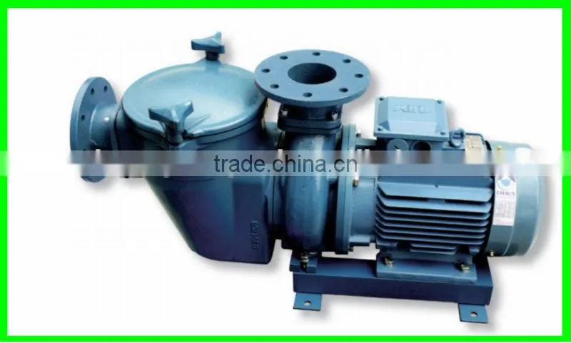 Large flow and low noise commercial pool pump