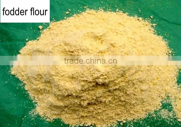 corn flour mill turkey plant
