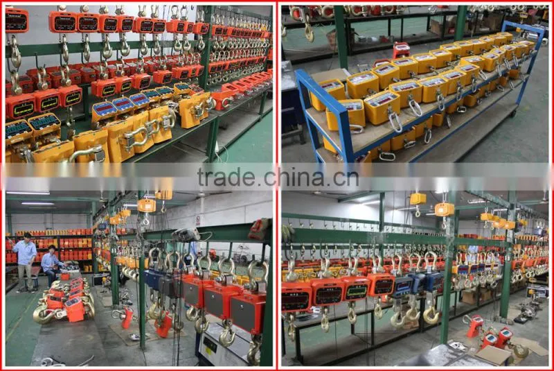0.5~15T OCS-N Crane Scale with handheld remote control for industrial