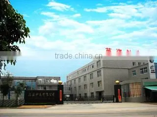Zhangzhou Yingzi Watch & Clock Co., Ltd. company overview - view 1