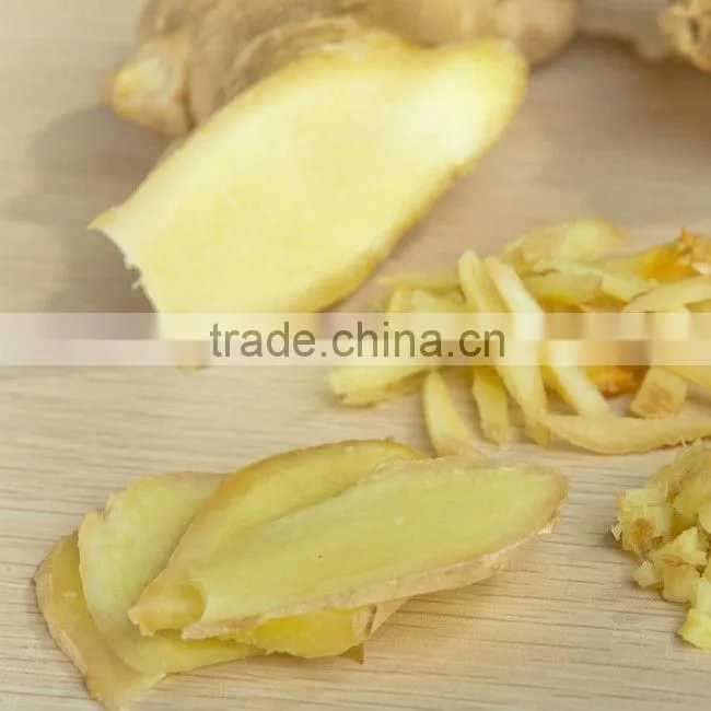 High Quality Ginger Root Extract E P 20:1