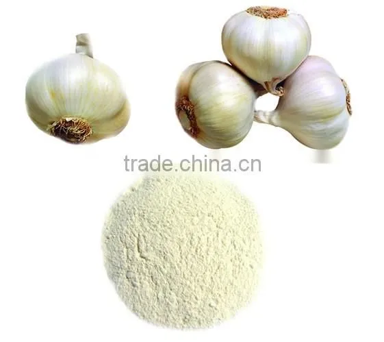 natural dehydrated Garlic fine powder