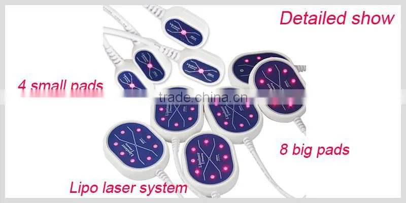 Hot Sale factory cyolipolysis slimming beauty machine lipo laser and cryolipolisis