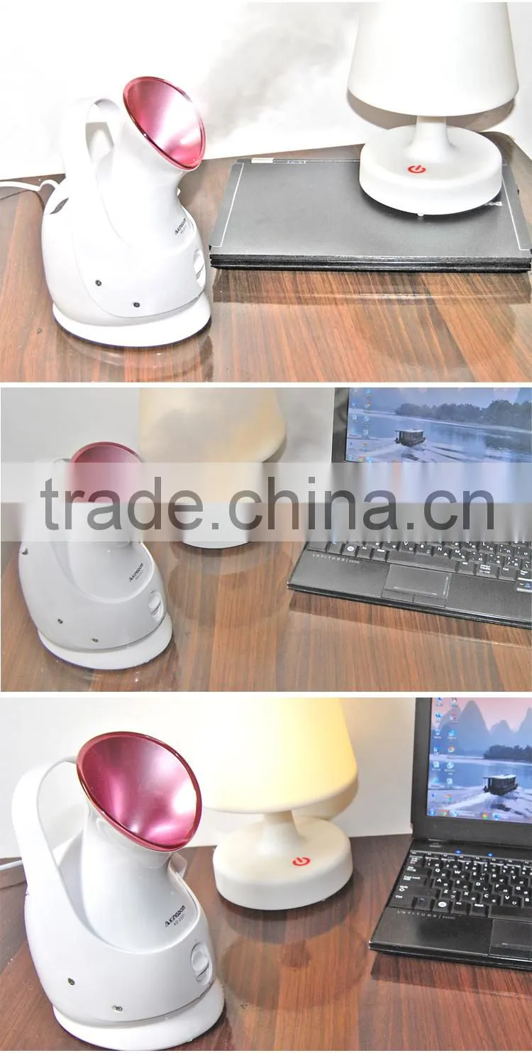 Mutilfunction auto personal Ion Vapour Steamer