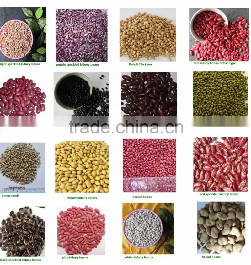 bai sha ke chinese dry white kidney beans