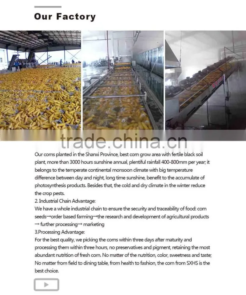 Frozen vegetables of sweet corn kernels